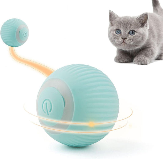 Bluetooth Ball Toy