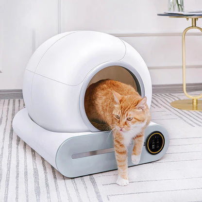 Automatic Cat Litter Box